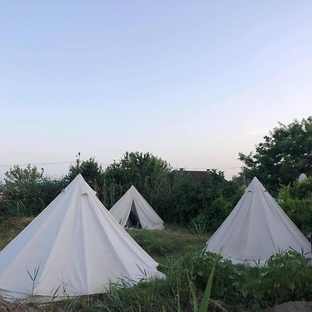 Danube Delta Hostel Homestay & Camping Суліна Екстер'єр фото