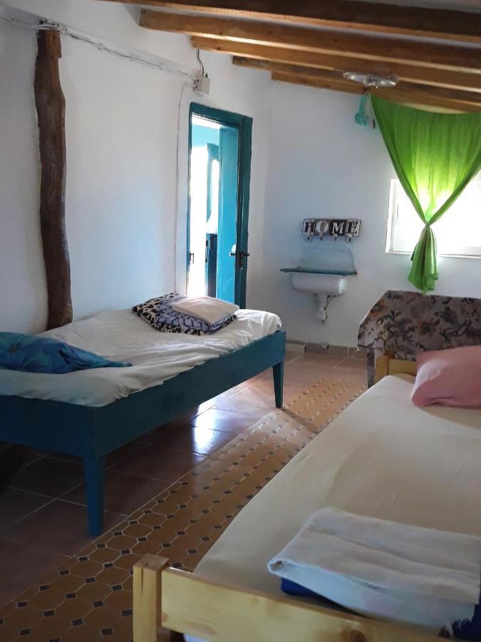 Danube Delta Hostel Homestay & Camping Суліна Екстер'єр фото