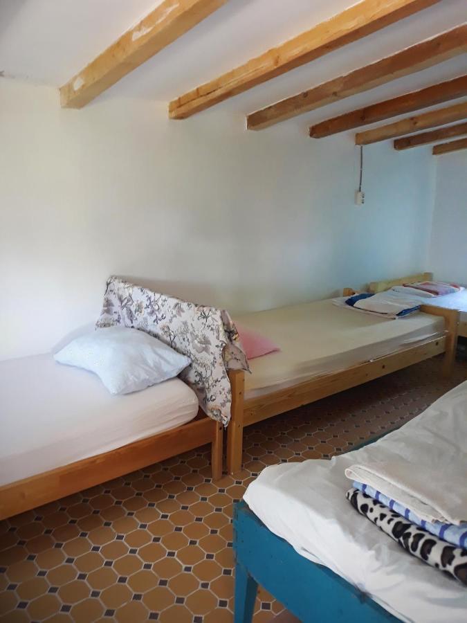 Danube Delta Hostel Homestay & Camping Суліна Екстер'єр фото