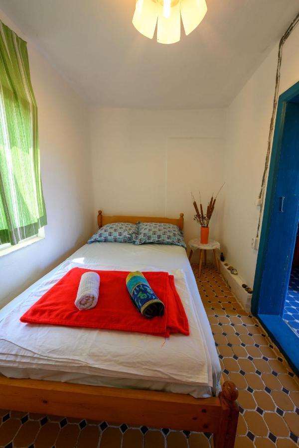 Danube Delta Hostel Homestay & Camping Суліна Екстер'єр фото