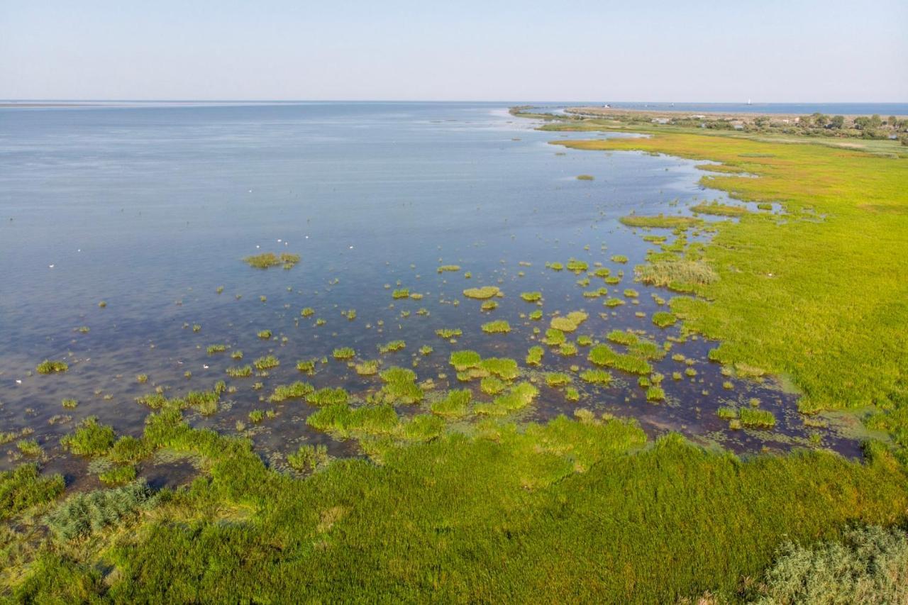 Danube Delta Hostel Homestay & Camping Суліна Екстер'єр фото